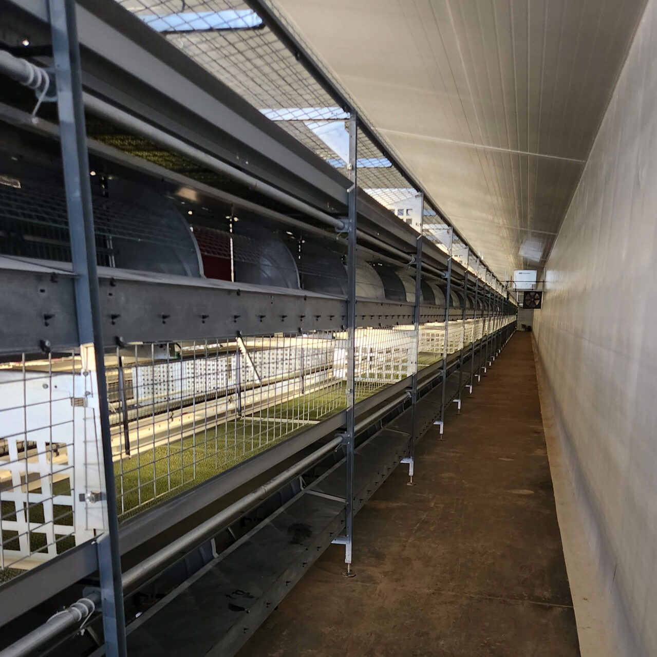 Inside an empty egg laying poultry barn.