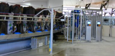 Bettencourt Dairy 2 Rotary