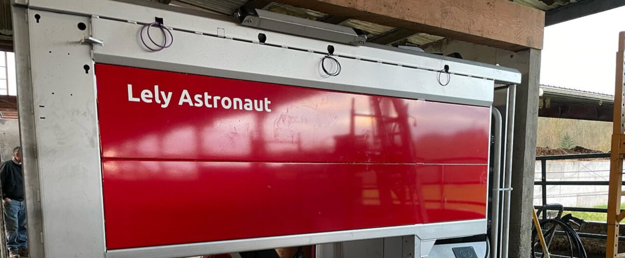 This is a Lely Astronaut being installed